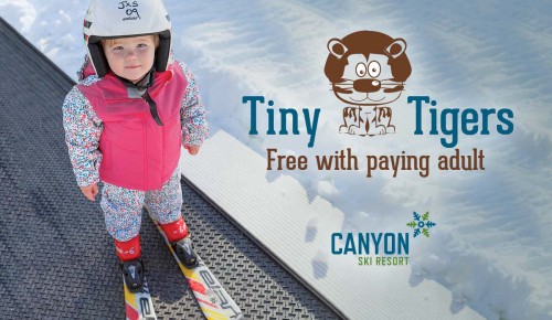 Tiny Tigers - Free with paying adult