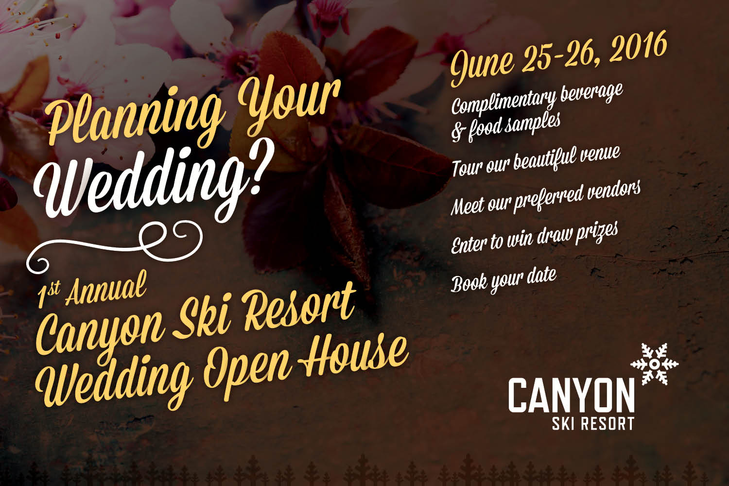 Wedding Expo - June 25-26, 2016